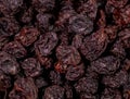 macro shot of dry black currant from Turkey in detail and with high magnification and very close Royalty Free Stock Photo