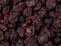 macro shot of dry black currant from Turkey in detail and with high magnification and very close Royalty Free Stock Photo