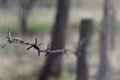 Macro shot of an element of old and rusty barbed wire with a blurred background. Fragment of a village fence of a territorial sit Royalty Free Stock Photo