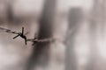 Macro shot of an element of old and rusty barbed wire with a blurred background. Fragment of a village fence of a territorial sit Royalty Free Stock Photo