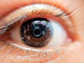 Macro shot of an eye in color Royalty Free Stock Photo