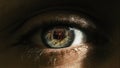 Macro shot of eyes with lucky number seven reflection. Jackpot casino concept. Royalty Free Stock Photo