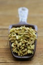 Macro shot fennel seeds, aromatic spice