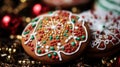 A macro shot of a festive holiday cookie, intricately decorated with icing Royalty Free Stock Photo
