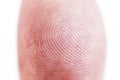 Macro shot fingerprint