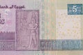 Macro shot of five egyptian pounds bill Royalty Free Stock Photo