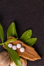 Macro shot of four ayurvedic tablets on a cinnamon stick and green herbs with black background. Ayurveda concept Royalty Free Stock Photo