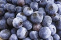 Macro Shot Of Fresh Blueberries Royalty Free Stock Photo