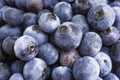 Macro Shot Of Fresh Blueberries Royalty Free Stock Photo