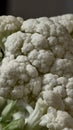 Macro shot of fresh cauliflower head Royalty Free Stock Photo