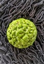 Macro shot of a fresh green kaffir lime (Citrus hystrix) with bumpy texture on a dark background Royalty Free Stock Photo