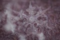 Macro Shot of Frozen Snowflake 6