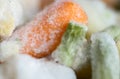 The macro shot of frozen vegetables Royalty Free Stock Photo