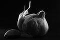 Macro shot of a garlic bulb and clove window lit on black