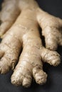 Macro shot of a ginger. Royalty Free Stock Photo