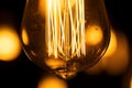 Macro shot of glowing Edison lamp. Royalty Free Stock Photo