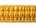 Macro Shot of Golden Corn Cob on White Background Close up View Royalty Free Stock Photo