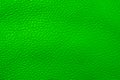 Macro shot green leather texture background.. Part of perforated leather details. Green perforated leather texture background. Royalty Free Stock Photo