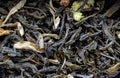 Macro shot of green tea with flowers and jasmine Royalty Free Stock Photo