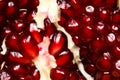 Macro shot of grenadine seeds