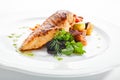 Macro Shot of Grilled Chicken Fillet with Side Dish of Baked Vegetables