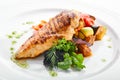 Macro Shot of Grilled Chicken Fillet with Side Dish of Baked Vegetables