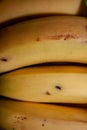 Closeup of bananas in dark room Royalty Free Stock Photo