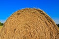 Macro shot on hay ball on blue sky. Royalty Free Stock Photo