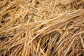 macro shot of hay strands in a bale