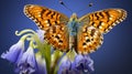 Macro Shot Of Heath Fritillary Butterfly On Hyacinth