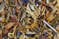 A macro shot of herbal tea mix Royalty Free Stock Photo