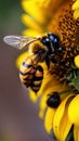 A macro shot of a honeybee on a sunflower illustration Artificial Intelligence artwork generated Royalty Free Stock Photo