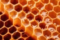 macro shot of a honeycomb ceramic catalyst