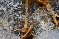 Macro shot of ice on a creek. Natural winter background Royalty Free Stock Photo