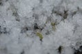 Macro shot of the ice details. Frozen ground.