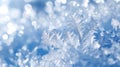 Macro shot of intricate frost crystals, sparkling in the sunlight with a bokeh effect on a winter day