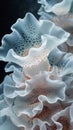 Macro Shot of a Jellyfish's Epidermis. Gray Hues, Graceful Undulations. Earth Day. AI Generated Royalty Free Stock Photo