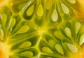 Macro shot of kiwano fruit seeds.