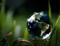 Macro shot of large Earth like drop on wet leaf Royalty Free Stock Photo