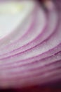 Macro shot of the layers of a red onion Royalty Free Stock Photo