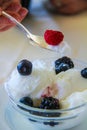 Macro shot of lemon ice cream cup with blackberries and raspberries Royalty Free Stock Photo