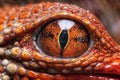 macro shot of lizards eye while eating a bug Royalty Free Stock Photo