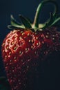 Macro shot of a luscious strawberry, with its vivid red surface and seed-speckled texture Royalty Free Stock Photo