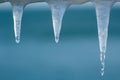 Macro shot of melting icicles with droplets