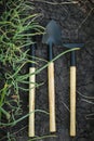 Macro shot of miniature shovel stuck in a black soil next to fresh green onion sprouts. Home gardening and growing vegetables Royalty Free Stock Photo