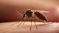 Macro shot of mosquito sucking blood through human skin