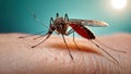 Macro shot of mosquito sucking blood through human skin