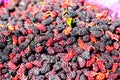 Macro shot of mulberries berries in red and black