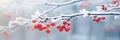 Macro shot of nature landscape or scene. Winter misty background with frozen plants, red berries in snow. Royalty Free Stock Photo