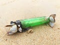 Macro shot of old green plastic lighter covered with shells on a beach Royalty Free Stock Photo